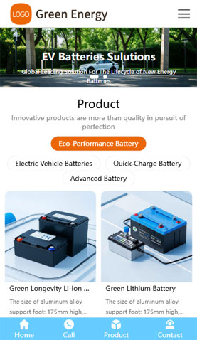 某某新能源汽车电池 2451